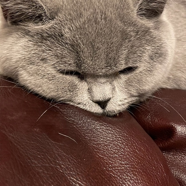 Goddess Eau de Parfum