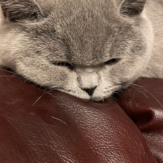 Goddess Eau de Parfum